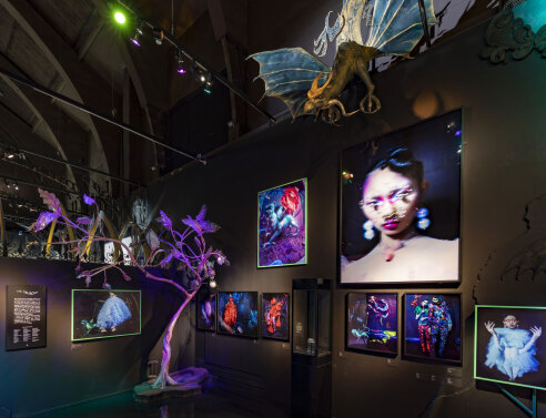 va-tim-walker-wonderful-things-exhibition-installation-view-lil-dragon-section-2-c-victoria-and-albert-museum-london.jpg