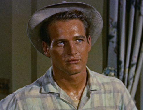 Πολ Νιούμαν, «The long hot summer» 1958