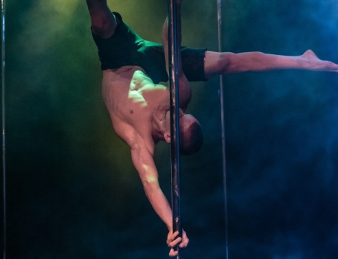 Pole dancer 