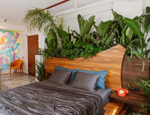 Το pop up project “Rainforest suite” του Αχιλλέα Κρητικού