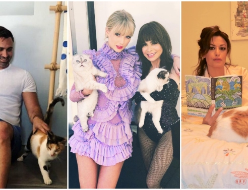 Γιώργος Καπουτζίδης, Taylor Swift, Δωροθέα Μερκούρη