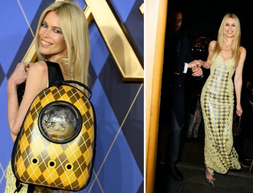 Κλόντια Σίφερ: Στο κόκκινο χαλί για την πρεμιέρα της ταινίας «Argylle» με τη γάτα της - Το κατοικίδιο του διάσημου μοντέλου έχει πρωταγωνιστικό ρόλο στο θρίλερ.