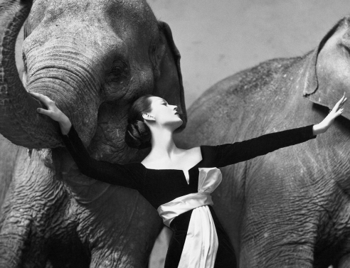 Richard Avedon: Ο φωτογράφος που άλλαξε τη φωτογραφία μόδας και διασημοτήτων