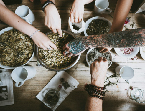 12 Βότανα & Φυτά που θεραπεύουν σώμα & πνεύμα