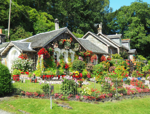 6 τάσεις κήπου 2024