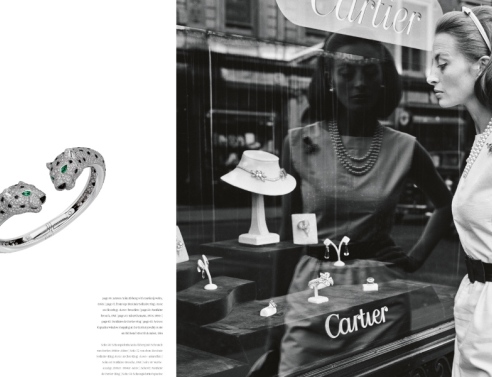 Για την αγάπη των διαμαντιών: Ένα βιβλίο γεμάτο λάμψη