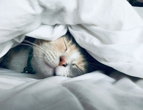 Τα πολλά μυστικά και οφέλη του ύπνου που αγνοούμε