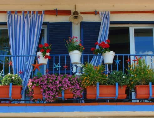 8 δημοφιλή φυτά για να βάλετε την Άνοιξη στο μπαλκόνι σας	