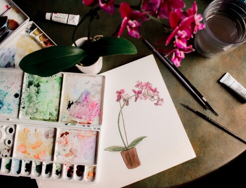 sarah-brown-cwsiavlxowq-unsplash