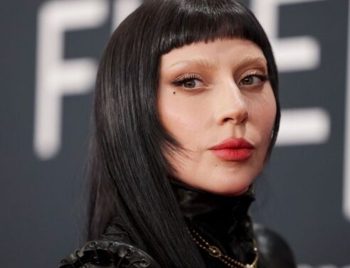 Ο Αυστραλός Τζόνσον Γουέν, που πρόσφατα είχε συλληφθεί για επίθεση στην Αριάνα Γκράντε, αποβλήθηκε προληπτικά από συναυλία της Lady Gaga στο Μπρίσμπεϊν.