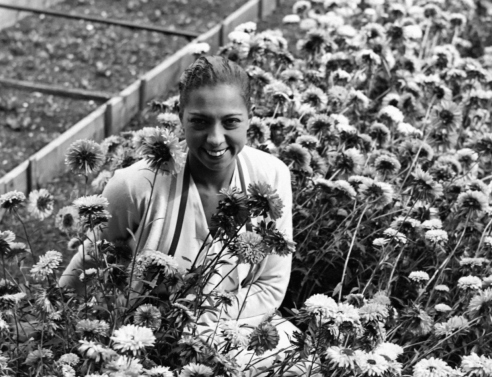 Τζόζεφιν Μπέικερ