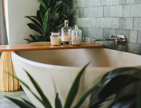 Διακόσμηση μπάνιου: Ποια φυτά αντέχουν στην υγρασία και πώς αλλάζουν την ατμόσφαιρα;