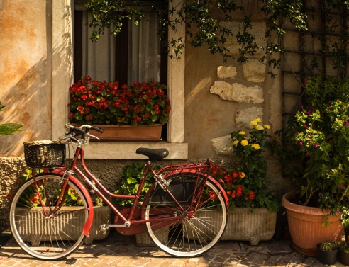 Γειτονιά ποδήλατο γλάστρες