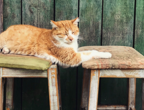 Είσαι 50+; Διάλεξε τη σωστή καρέκλα