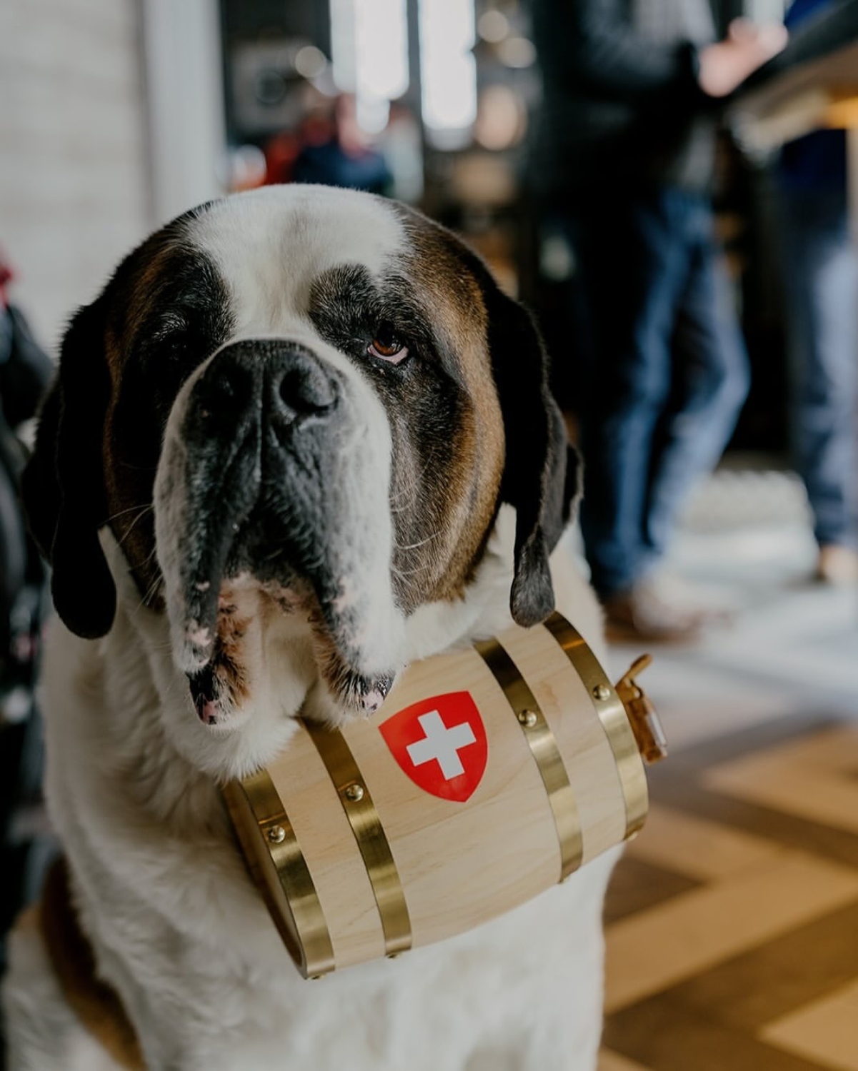 Γαμος σε χιονοδρομικό 