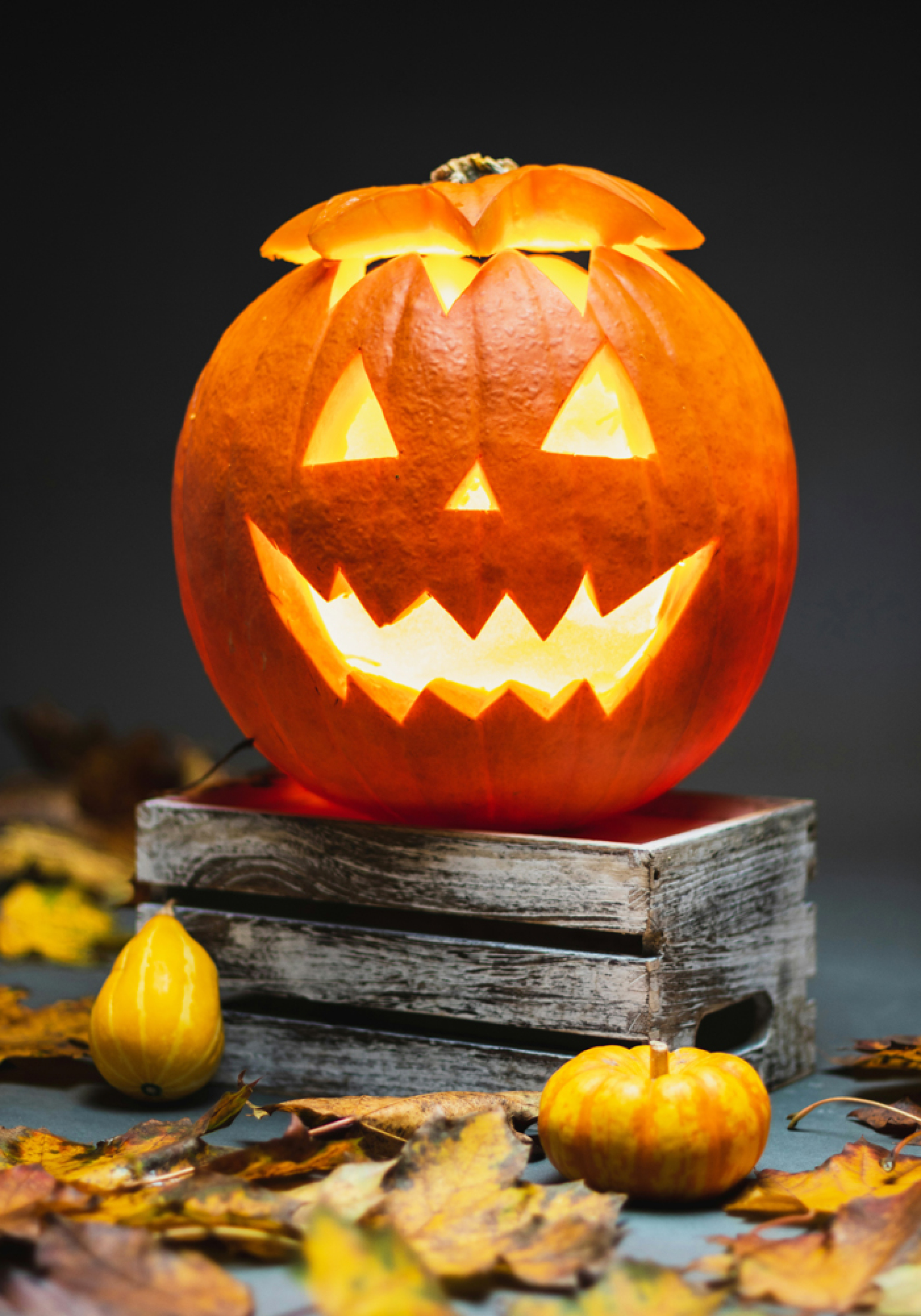 Πορτοκαλί: Το αγαπημένο χρώμα στην Ιστορία, στην Τέχνη, στη Μόδα. Ποια η σημασία του και τι συμβολίζει