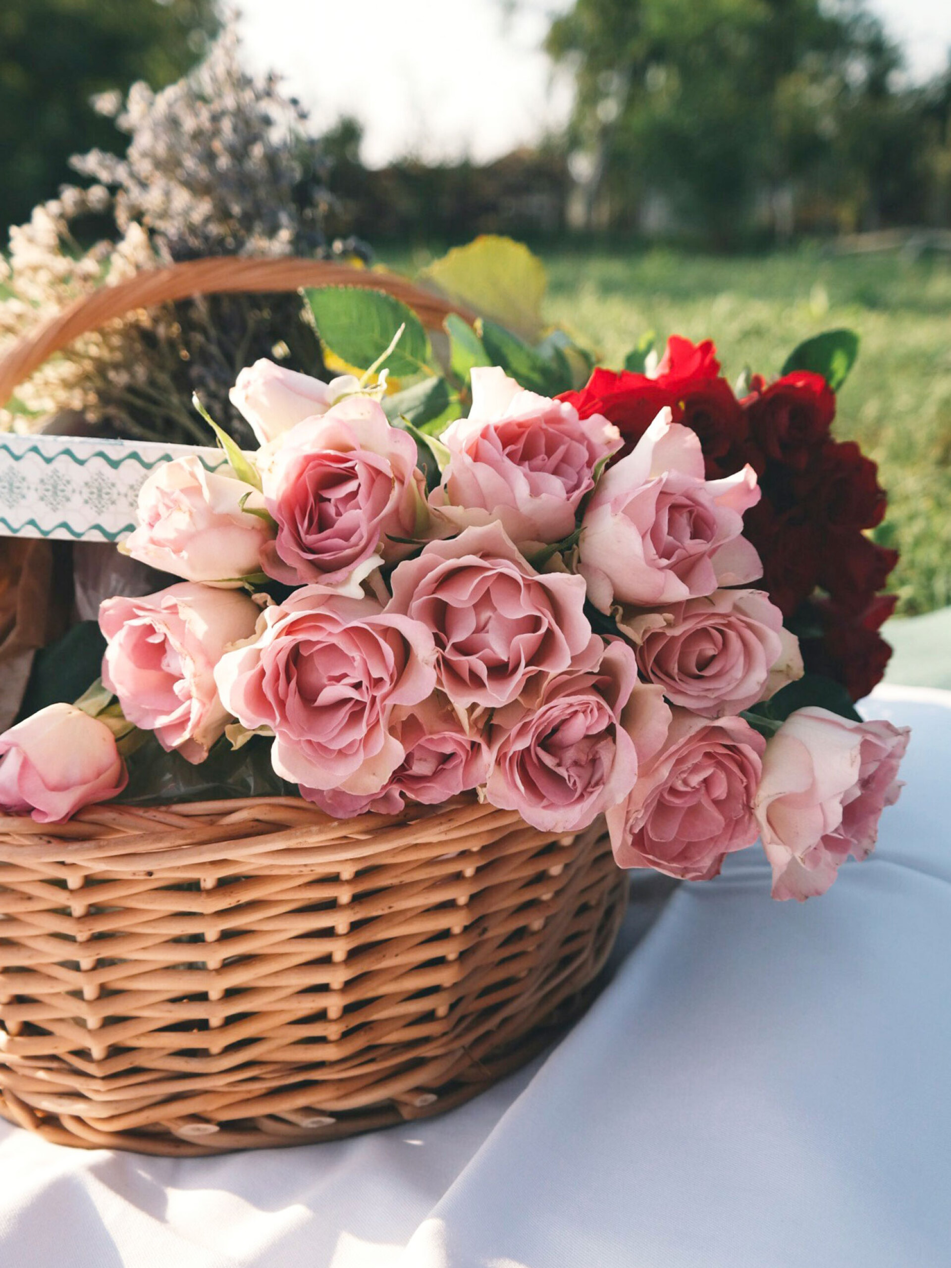 Τριαντάφυλλα