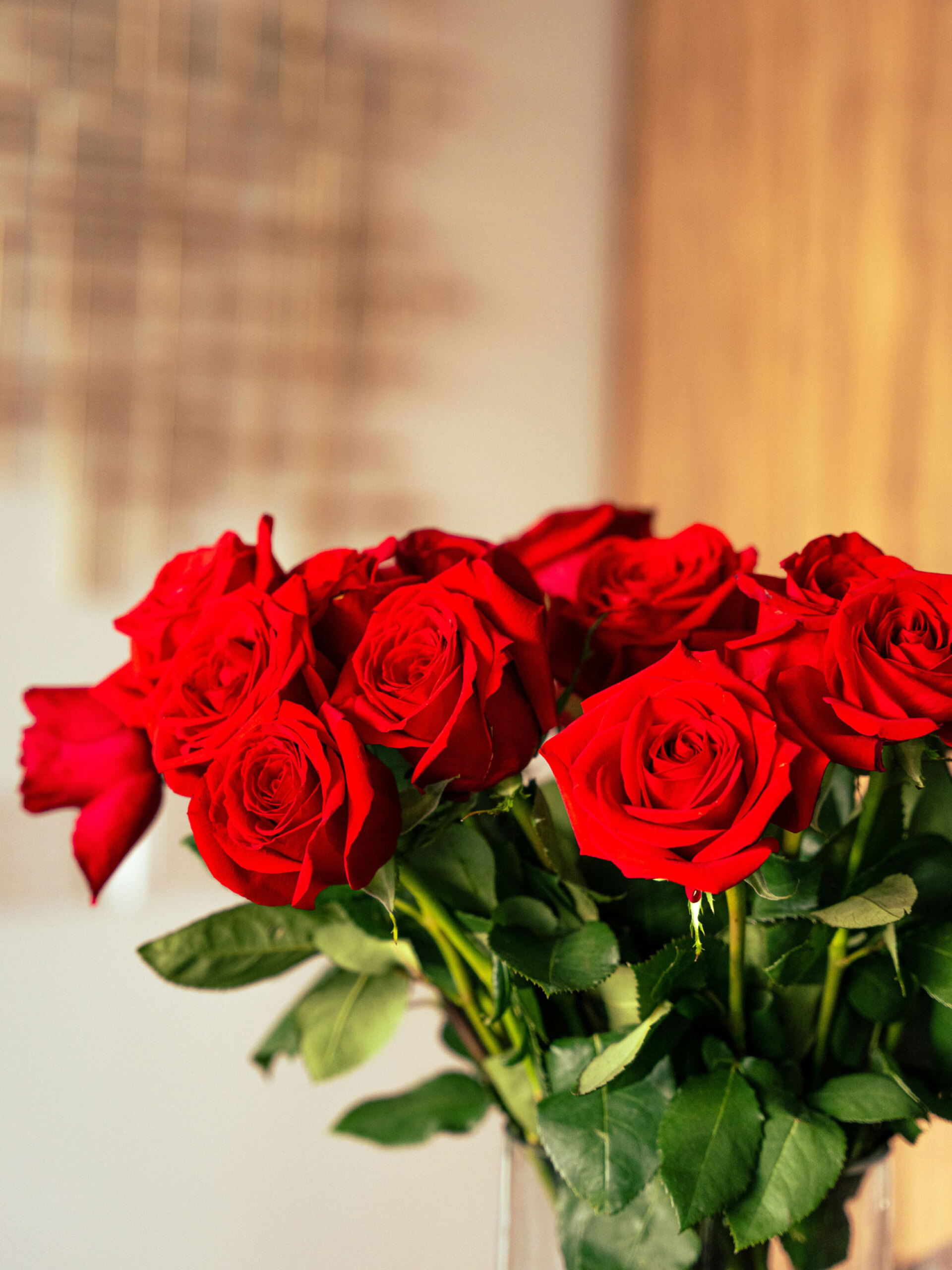 Τριαντάφυλλα