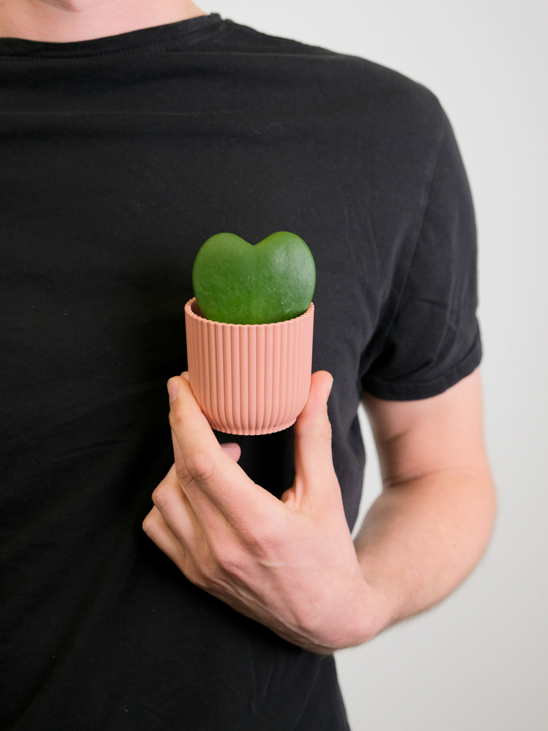 Τυχερή καρδιά