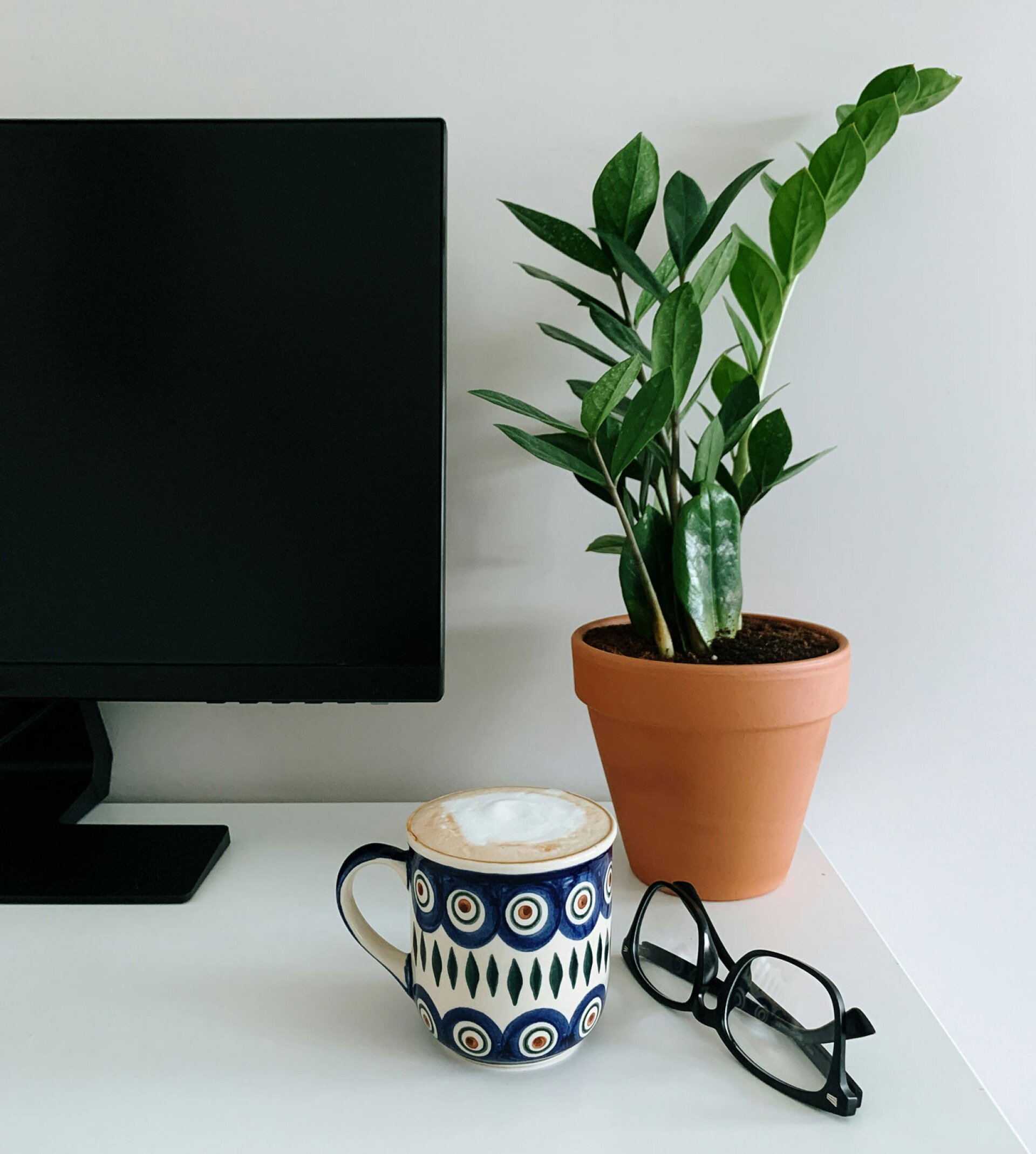 Zαμιοκούλκας ή ZZ plant