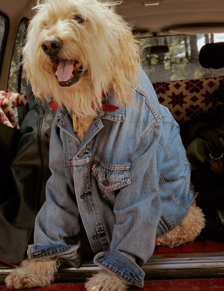 Levi’s® «Total Denim»