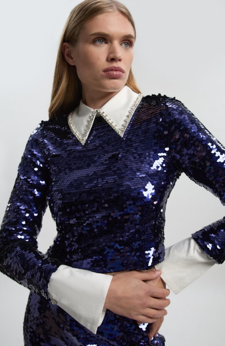 Sequin Woven Long Sleeve Woven Cropped Top