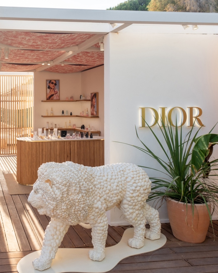 La Collection Privée Christian Dior