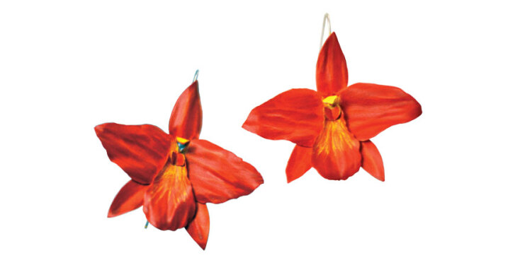 ΝΤΟΡΙΤΑ ΑΥΓΕΡΟΥ Κρεμαστά σκουλαρίκια