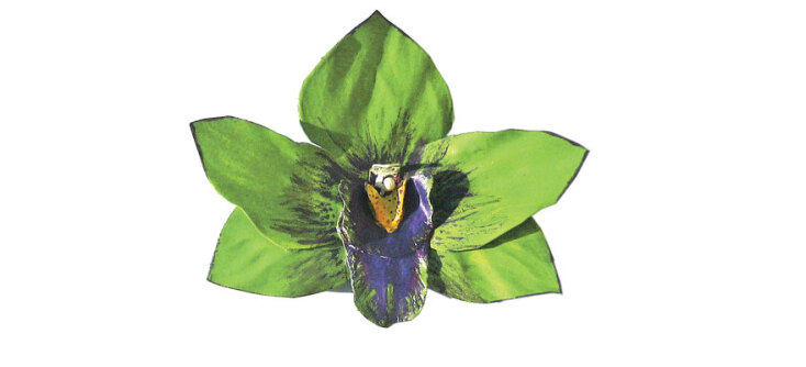 DORITA AVGEROU Καρφίτσα ορχιδέα