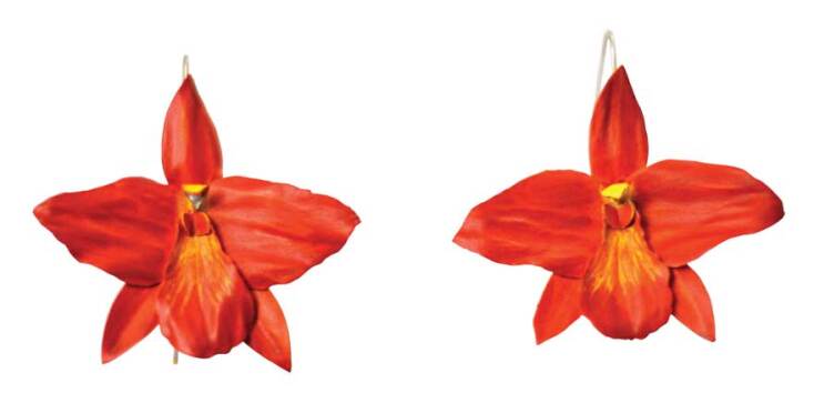 DORITA ΑVGEROU Κρεμαστά σκουλαρίκια-λουλούδια