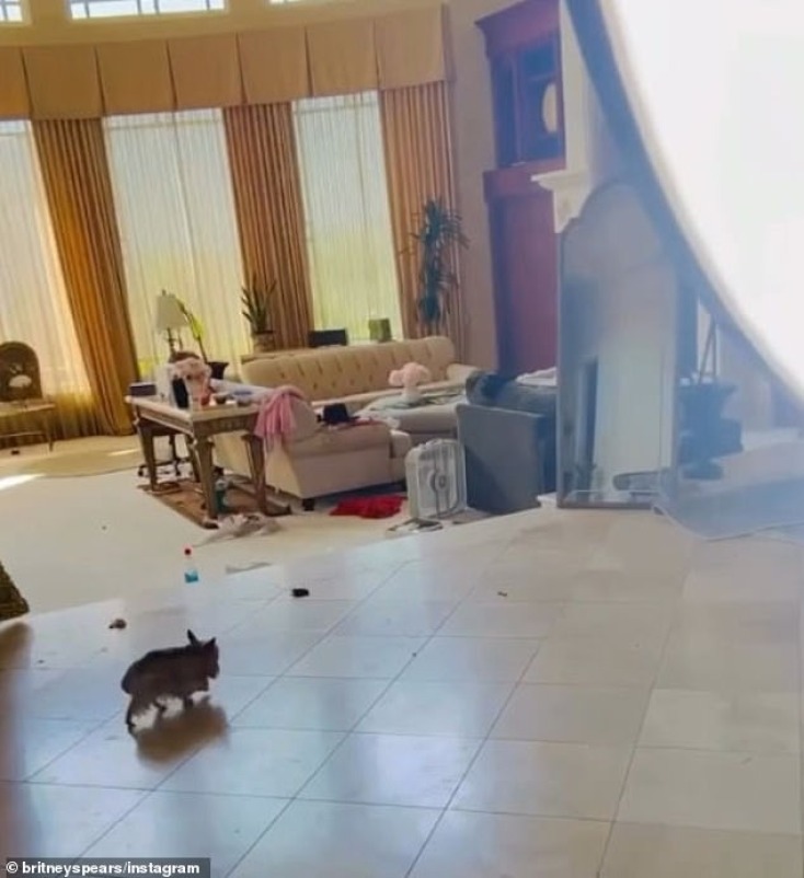 Η εικονα του σπιτιού που ανησύχησε τους θαυμαστές της Μπρίτνεϊ Σπίαρς 