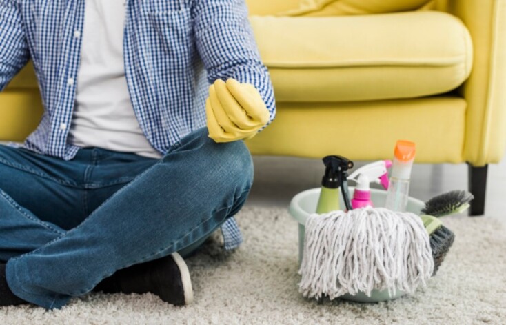 Καθαρισμός χαλιού από τρίχες σκύλου και γάτας