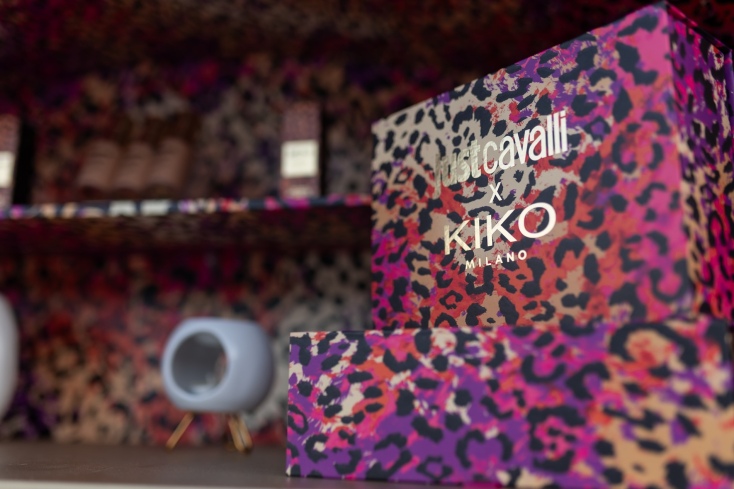 kiko_set_up_1