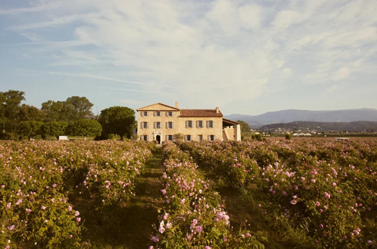 Grasse