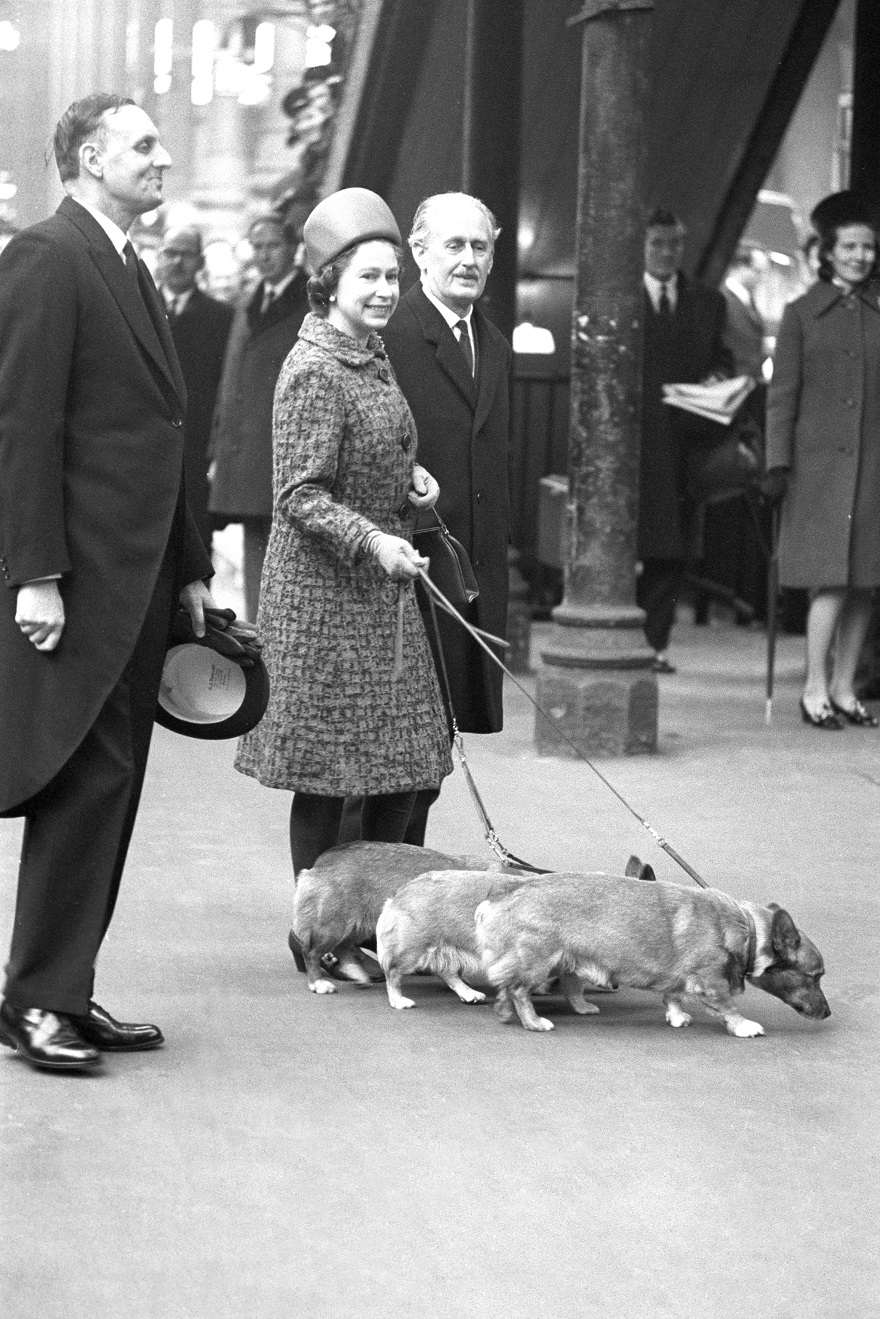Η βασίλισσα Ελισάβετ με τα σκυλάκια της στο σταθμό Liverpool Street επιστρέφοντας από το Sandringham